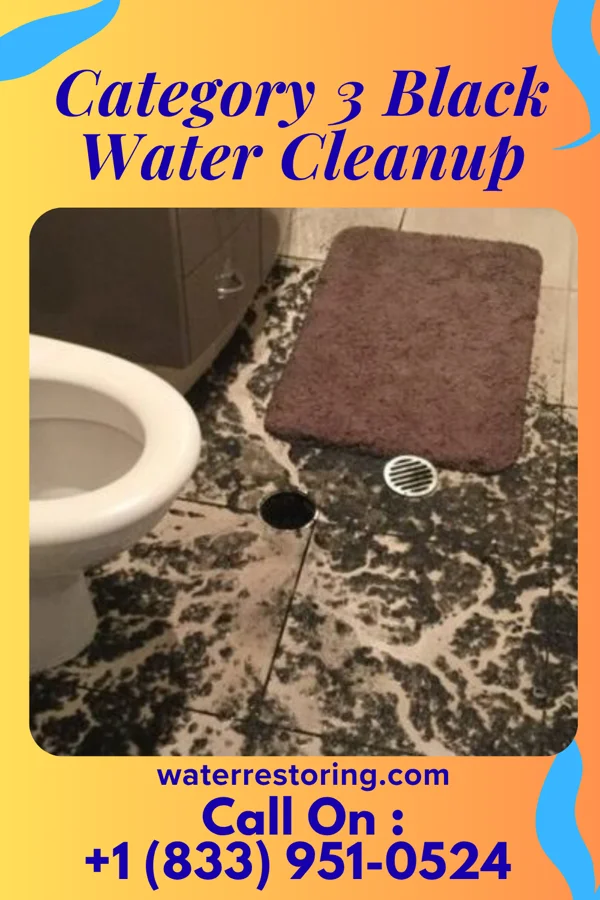 Category 3 Black Water Cleanup in Holly Springs, MS