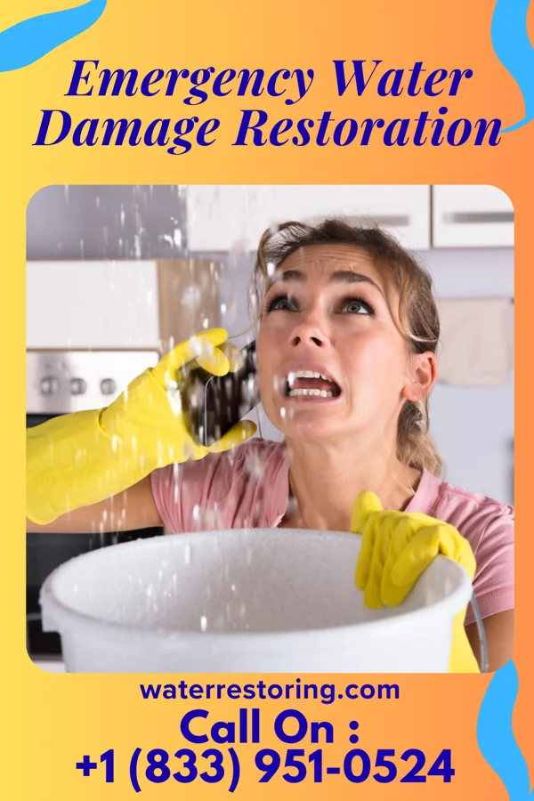 Emergency Water Damage Restoration in Holly Springs, MS
