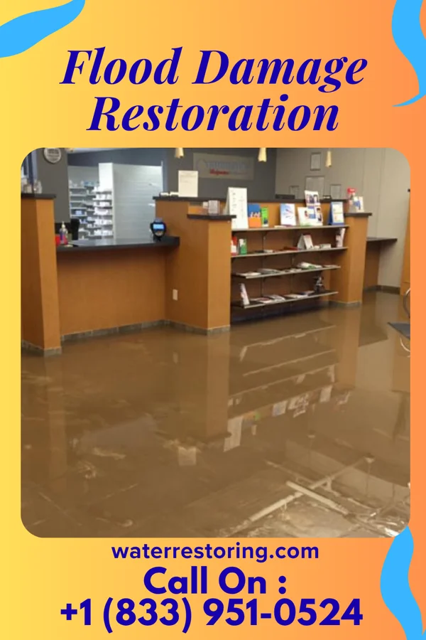 Flood Damage Restoration in Holly Springs, MS