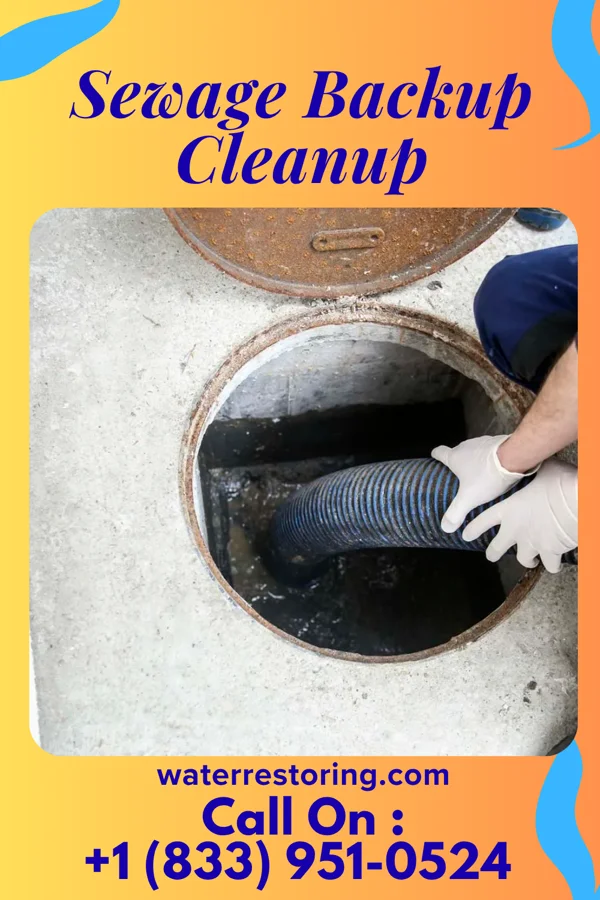 Sewage Backup Cleanup in Holly Springs, MS